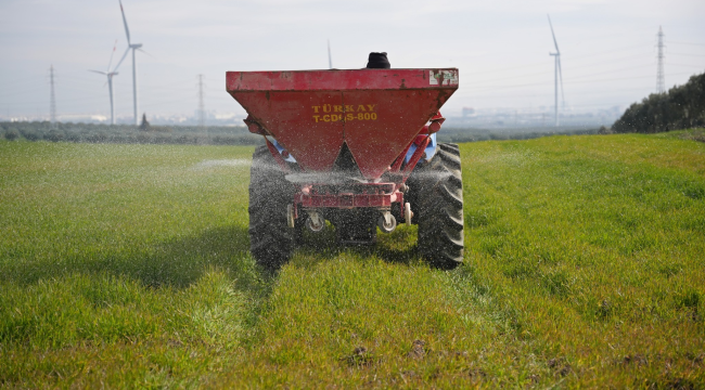 Akhisar belediyesi belediye arazilerini tarımla değerlendiriyor