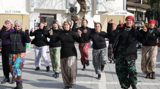 Edremit'te, zeytin hasat sonu "meci şenliği" başladı