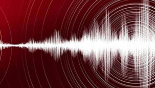 Ege denizinde 4.6 büyüklüğünde deprem