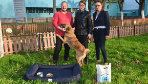 Hayvan sahiplenme kampanyasına katılan vatandaşlara bir yıl ücretsiz bakım