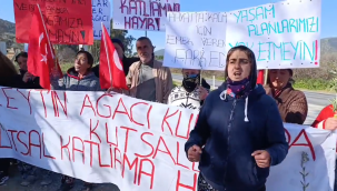 Köylü kadınlar 150 yıllık zeytin ağaçları için direnişe geçti: cahiliz ama aptal değiliz