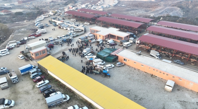Kula'da büyükbaş hayvan pazarı kuruldu