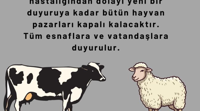 Sarıgöl hayvan pazarı şap hastalığı nedeniyle kapatıldı