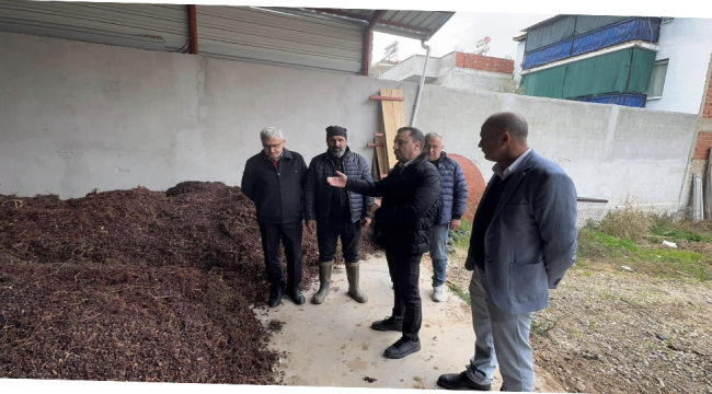 Tonlarca üzüm, üreticilerin elinde kaldı.