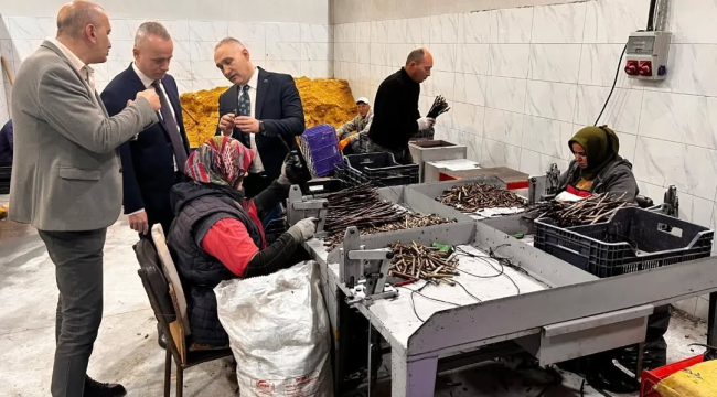 Bağ alanlarında kalıntı ve biyolojik mücadele tesisi kuruldu