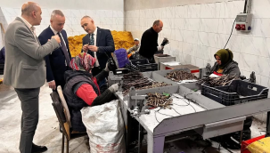 Bağ alanlarında kalıntı ve biyolojik mücadele tesisi kuruldu