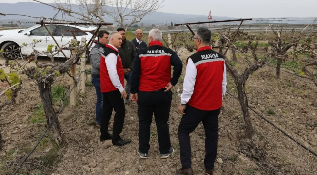 Bağlarda hasar tespiti sürüyor