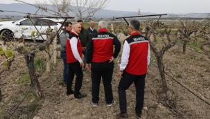 Bağlarda hasar tespiti sürüyor