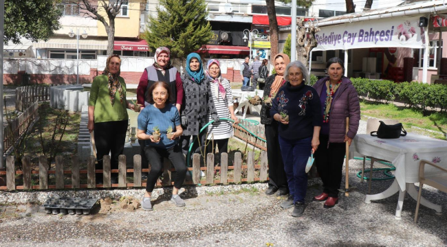 CHP'li kadınlar Gördes'de çiçek dikimi etkinliği düzenledi
