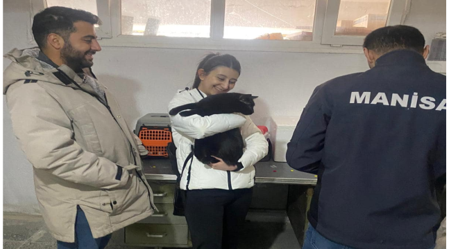 Demirci'de hayvanlara kuduz aşışı