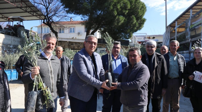 Gördes'de yangında zarar gören üreticilere zeytin fidanı dağıtıldı
