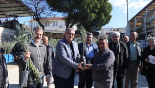 Gördes'de yangında zarar gören üreticilere zeytin fidanı dağıtıldı