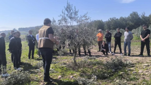 Hükümlü ve tutuklular mesleki beceri kazandı