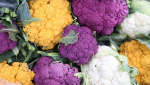 İlçe tarım müdürlüğünden renkli karnabaharı üretimi çağrısı