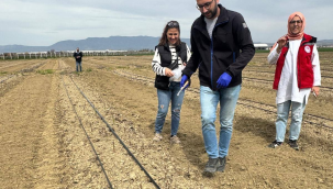 İyi tarım uygulamaları saha denetimi