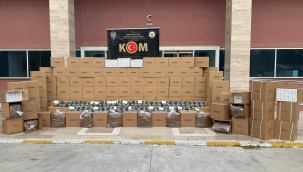 Koli koli kaçak tütün yakalandı