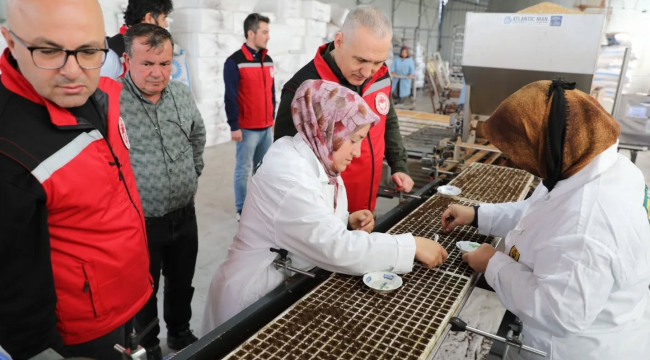 Manisa'da fide dikim dönemi başladı.