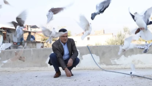 Öküzcüoğlu''sizlere güvercin yolluyorum kanatlarında mutluluk,yüreğinde sevgi olan'