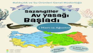 Yasaklama 4 bölgede sürdürülüyor