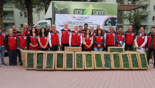 Üreticilere 6 ilçede 1 milyon domates,biber ve patlıcan fide teslimine başlandı