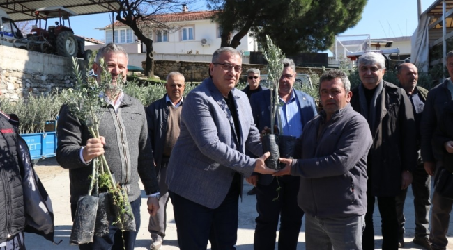 7 ilçede 22 mahallede 67 bin fidan dağıtıldı