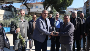 7 ilçede 22 mahallede 67 bin fidan dağıtıldı