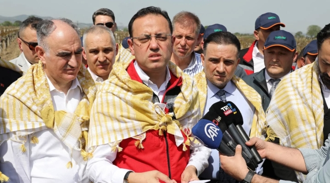  812 bin 681 dekar alanda 36 bin 738 üretici don zararına uğradı