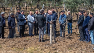 Bağları gezen Bakırlıoğlu 'zarar büyük çiftçiler ekonomk çıkamaza sürüklendi'