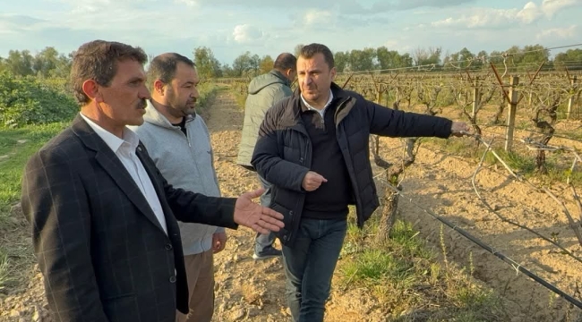 CHP'li Başevirgen'den hükümete çağrı