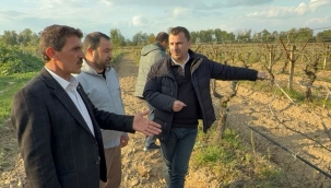 CHP'li Başevirgen'den hükümete çağrı