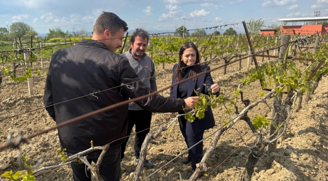 İYİ Partili Aytaç,"çiftçimizin zararı büyük" 