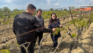 İYİ Partili Aytaç,"çiftçimizin zararı büyük" 