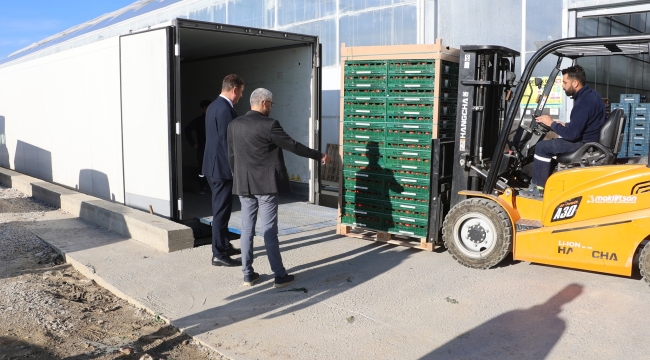  "Kula Agro" domatesler Avrupaya yola çıktı