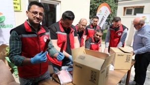 Üreticilere 5 ilçede 160.000 feromon tuzağı dağıtılacak