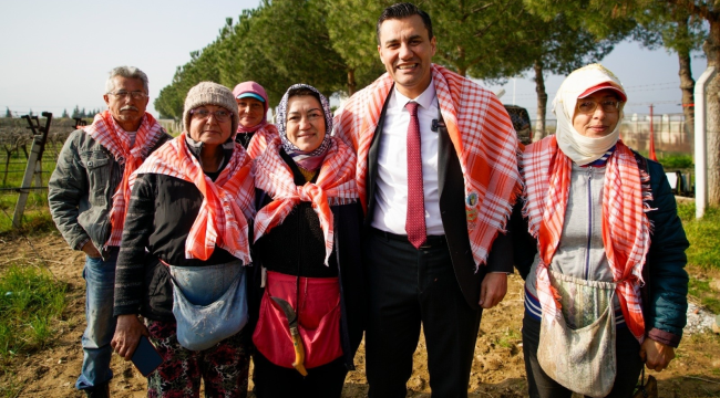 Zirai dondan zarar gören üreticilere büyükşehirden yardım eli