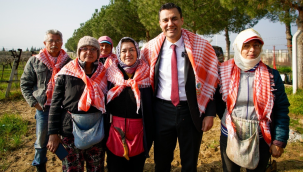 Zirai dondan zarar gören üreticilere büyükşehirden yardım eli