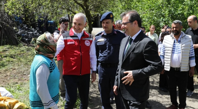 5 ilçede kahverengi kokarca düşmanı 6.000 Samuray arıcığı doğaya bırakıldı