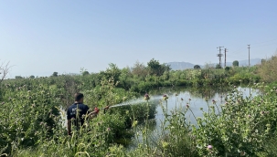 Akhisar'da sivrisinekle mücadele