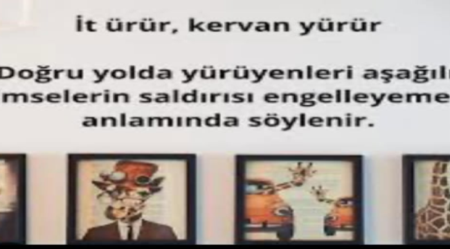 Başkan Büke'çakallar,burdan size ekmek çıkmaz'