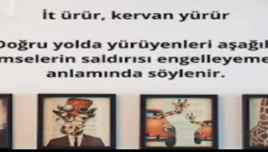 Başkan Büke'çakallar,burdan size ekmek çıkmaz'