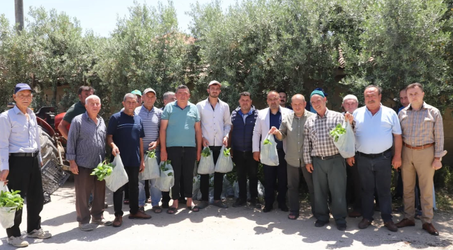 Belediye çiftçilere ücretsiz fide dağıttı