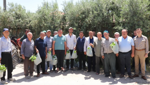 Belediye çiftçilere ücretsiz fide dağıttı