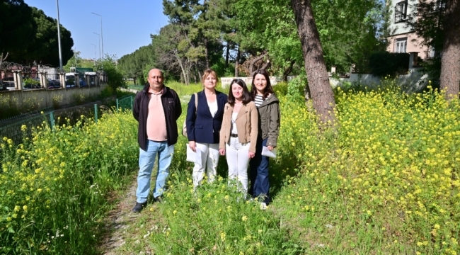 Bozköy deresinde yaşam başlıyor