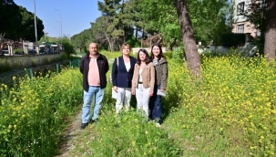 Bozköy deresinde yaşam başlıyor