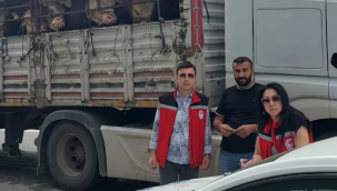 Ekipler yol kontrollerine çıktı