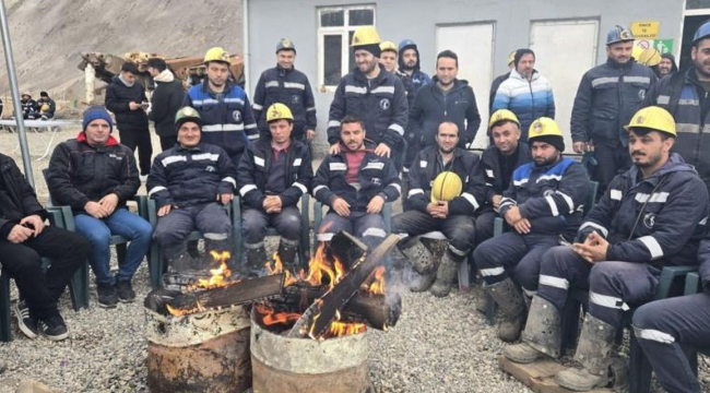 Erdoğan imzaladı, Çayırhan'ın özelleştirilmesi onaylandı