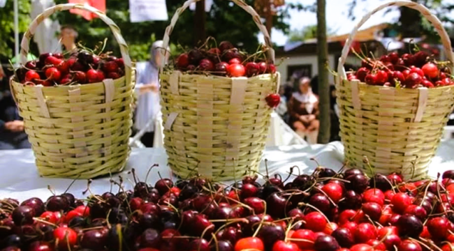 Geleneksel Uluderbent kiraz festivali başlıyor