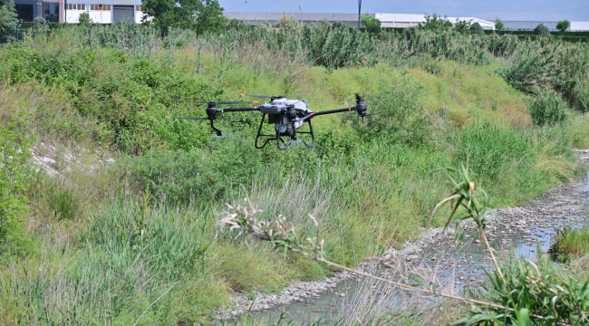 Haşerelereyle 17 ilçede dronelarla mücadele