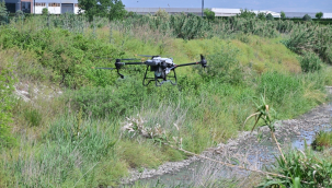 Haşerelereyle 17 ilçede dronelarla mücadele