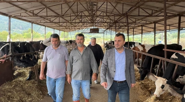 Hayvan üreticileri mazot karşılığı kurban satış kampanyası başlattı